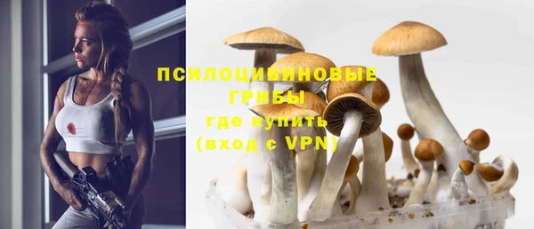 стафф Алзамай