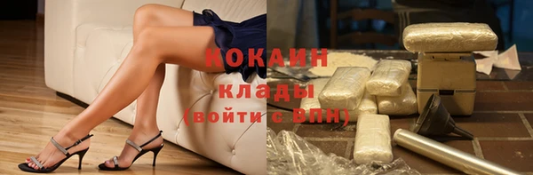 стафф Алзамай