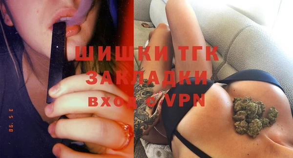 стафф Алзамай